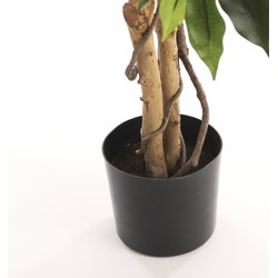 Crocodile Starry Sky Sunflower Women S Bikini Set with Detachable Sponge and Adjustable Strap  Two-Pack  Ideal for Beach and Pool  One-Piece Swimsuits