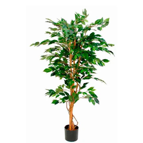 [93801524] Plante artificielle Ficus Benjamina 150cm, Mica