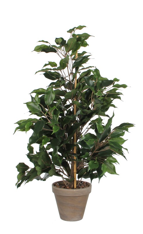 [93800633] Plante artificielle Ficus Exotica 65cm, Mica